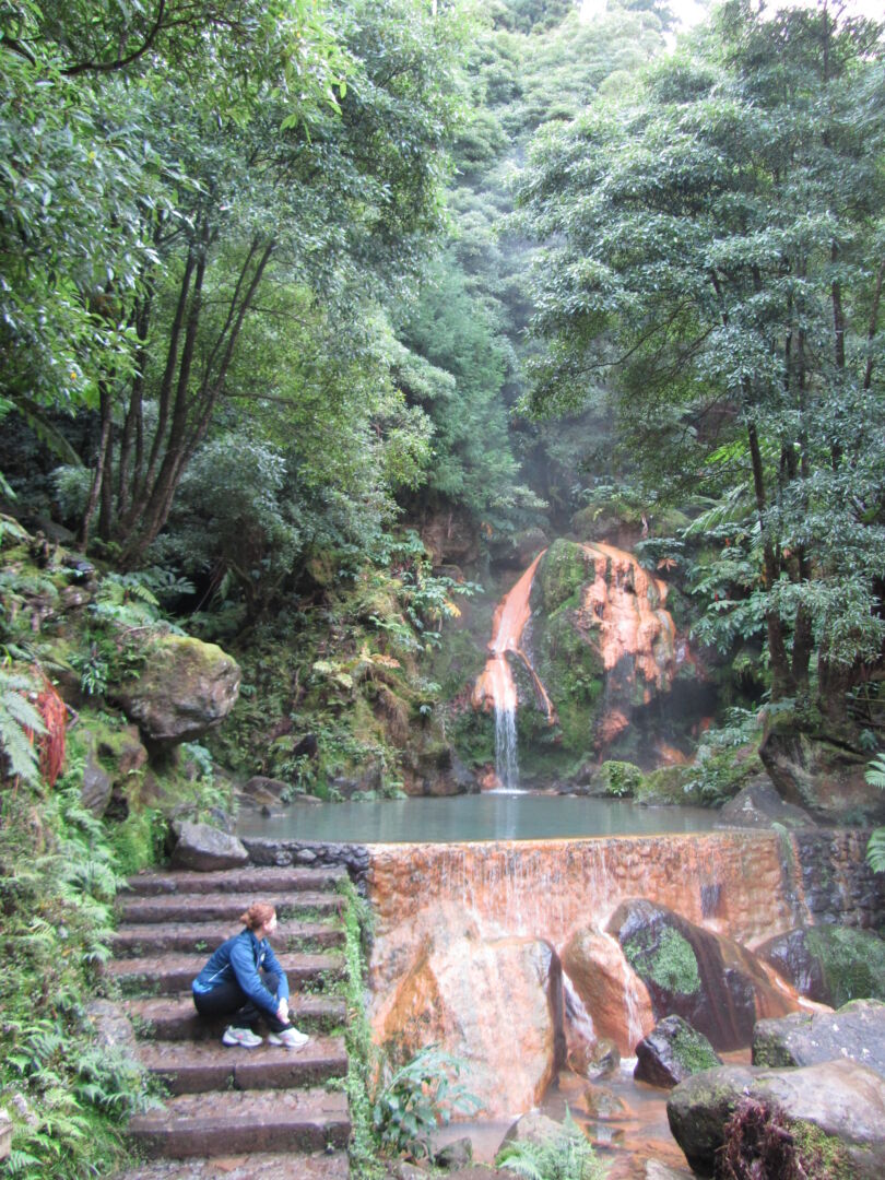 Bosques de laurisilva. Sao Miguel